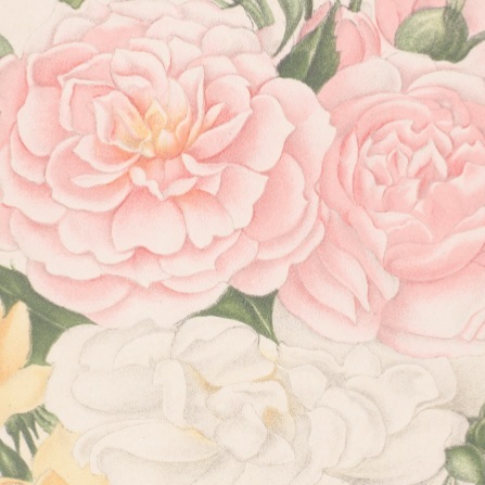 RHS Hampton Court Palace Flower Show Preview